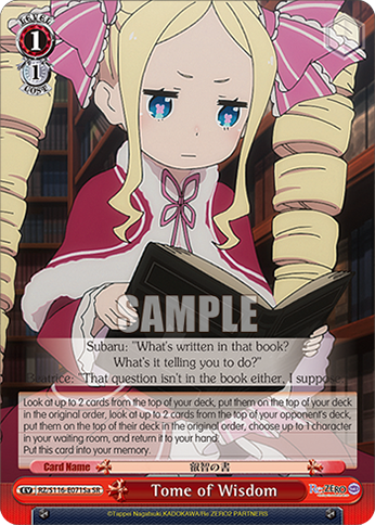 Tome of Wisdom — RZ/S116-E071Sa