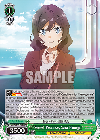 SBY/W136-E030S Secret Promise, Sara Himeji