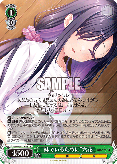 ANM-W138-031 “To Remain Your Little Sister”Rikka Hayakawa
