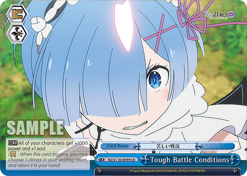 Tough Battle Conditions — RZ/S116-E099