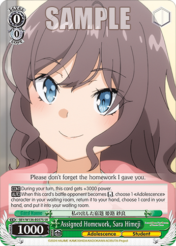SBY/W136-E037S Assigned Homework, Sara Himeji