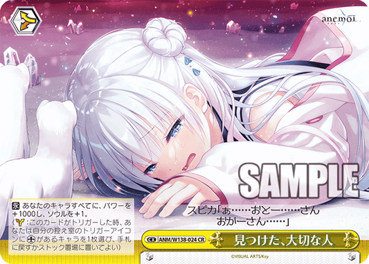 ANM-W138-024 Found You, My Precious Person