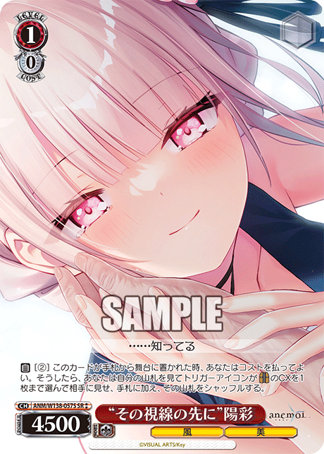 ANM-W138-057S “Beyond Her Gaze”Hiiro Awayuki