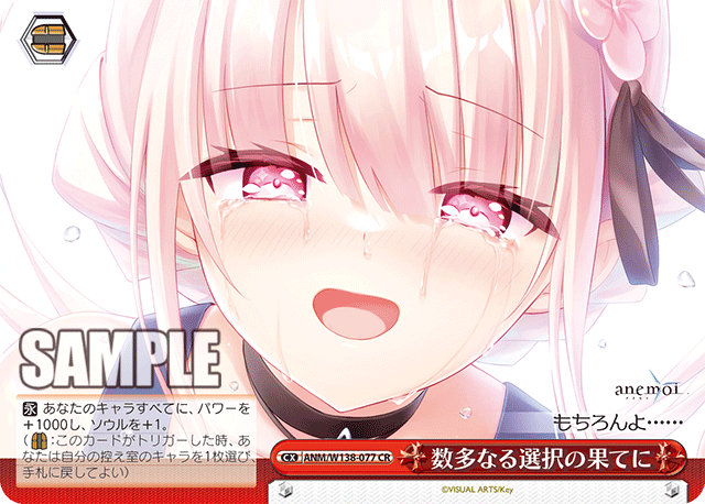 ANM-W138-077 At the End of Countless Choices