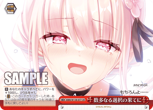 ANM-W138-077 At the End of Countless Choices