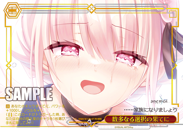 ANM-W138-077R At the End of Countless Choices
