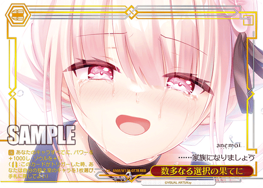 ANM-W138-077R At the End of Countless Choices