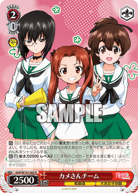 GUP-W141-062 Turtle Team