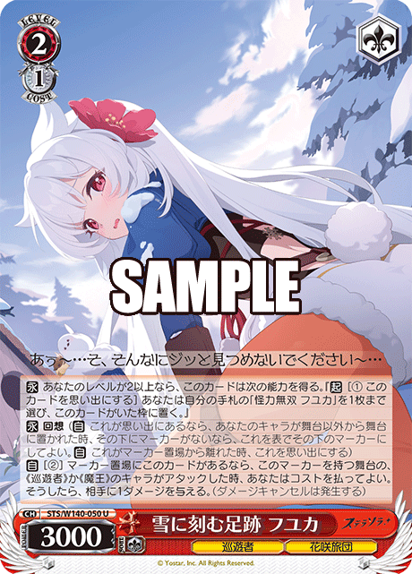 STS-W140-050 Footprints in the Snow Fuyuka